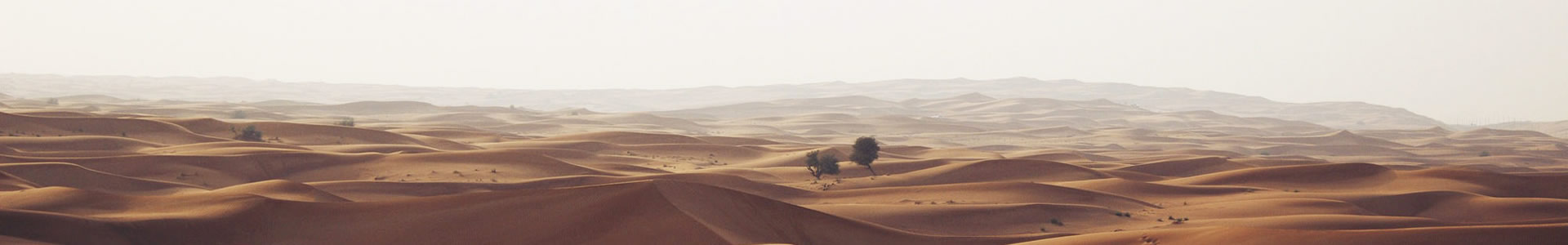 ػƼɷ޹˾ֹ˾
